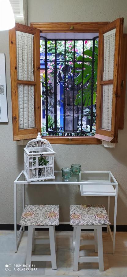 Alojamiento Casa Tipica De קורדובה מראה חיצוני תמונה