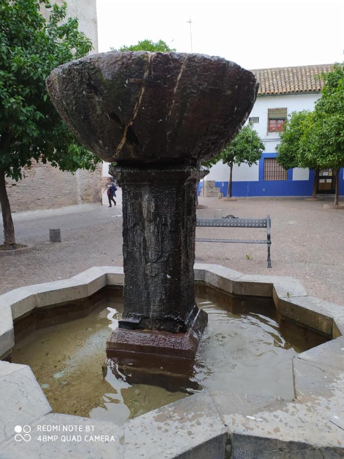 Alojamiento Casa Tipica De קורדובה מראה חיצוני תמונה