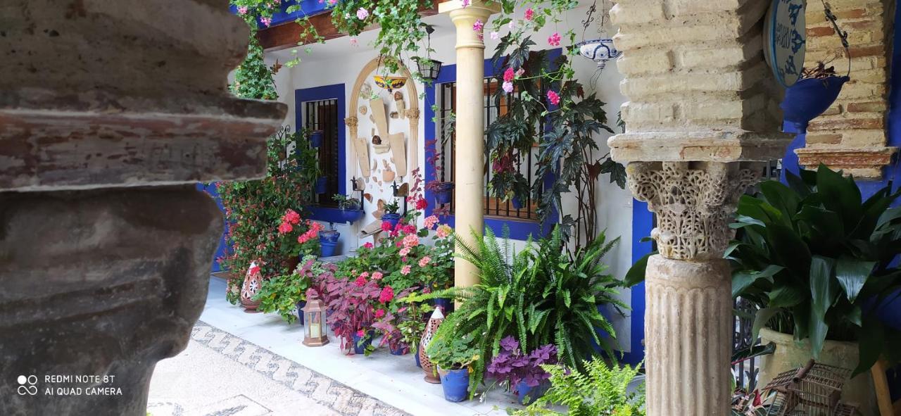 Alojamiento Casa Tipica De קורדובה מראה חיצוני תמונה