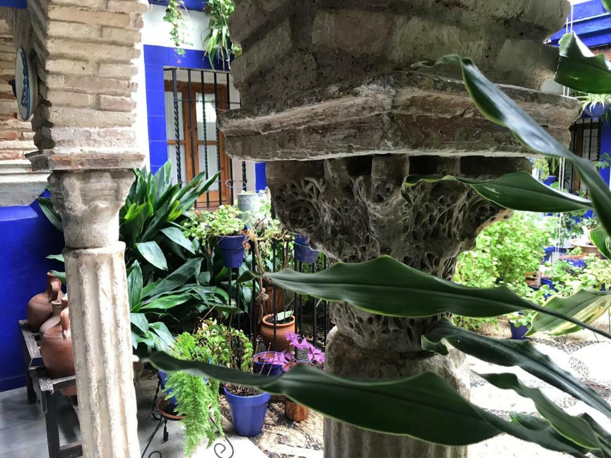 Alojamiento Casa Tipica De קורדובה מראה חיצוני תמונה